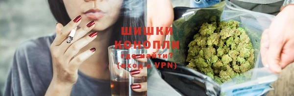 МДПВ Михайлов