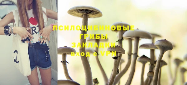 МДПВ Михайлов