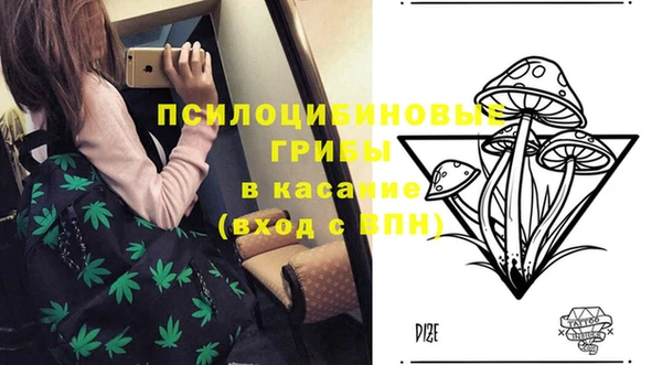 мет Михайловск