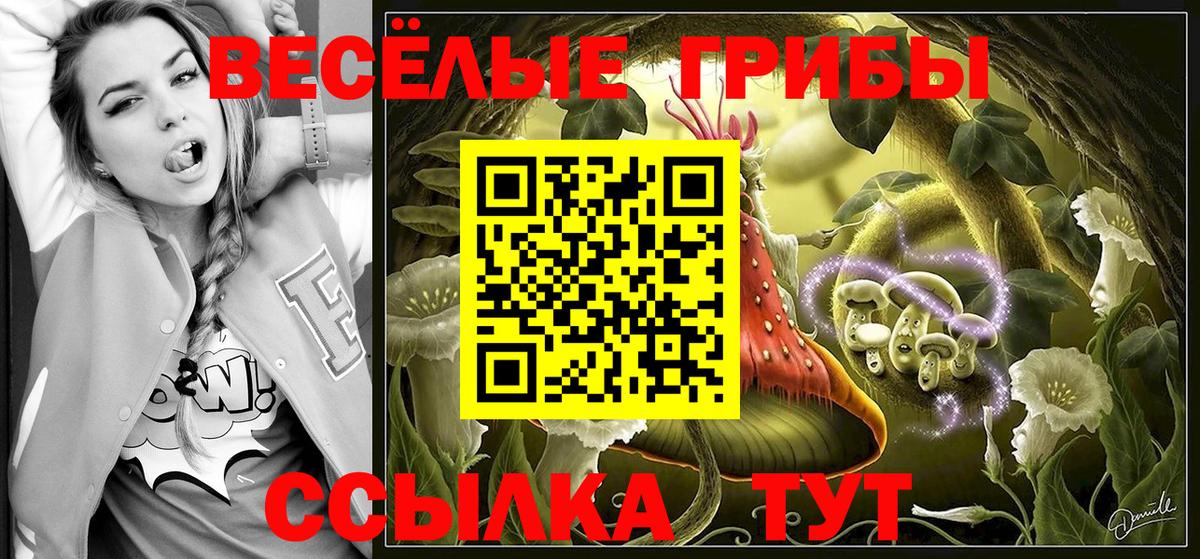 Псилоцибиновые грибы прущие грибы Тайшет