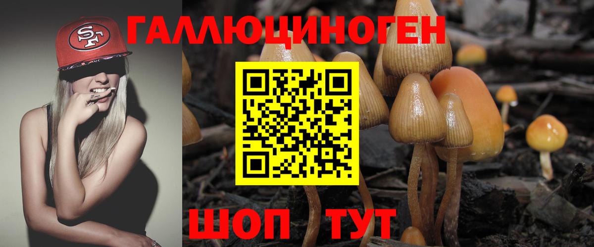 Галлюциногенные грибы Magic Shrooms  Вход с VPN  купить наркоту  Тайшет 