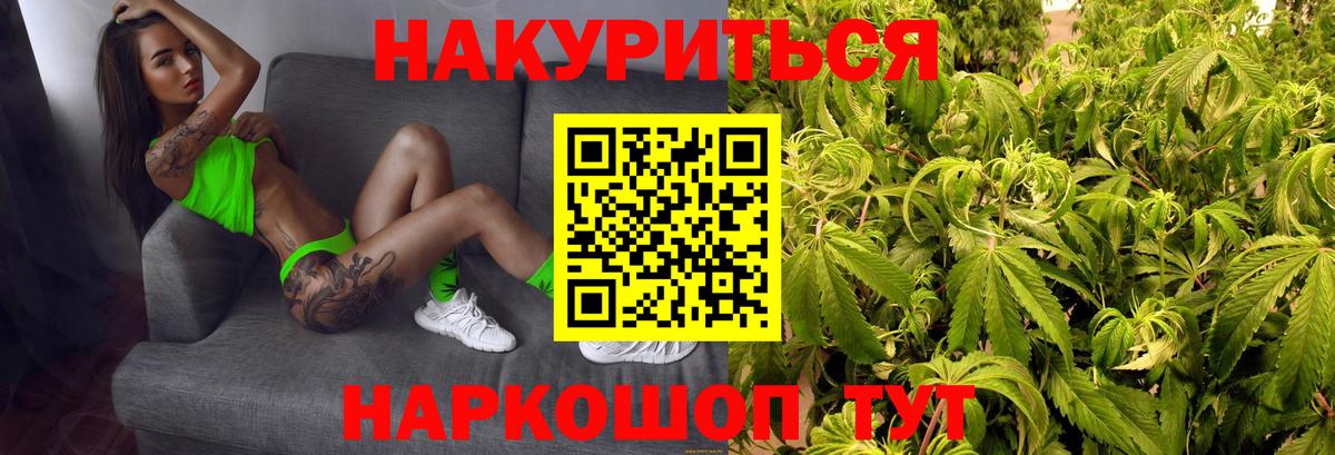 Канабис план Тайшет